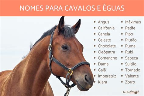 nomes para cavalos masculinos-1
